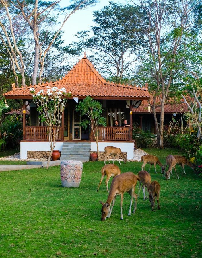 Plataran Menjangan Resort And Spa - Chse Certified Banyuwedang Room photo
